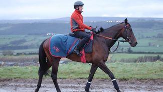 'I don't think I've seen a horse work better' - Karl Burke issues bullish update on 2,000 Guineas contender Night Raider