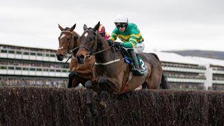 'I felt a great deal of pressure during Cheltenham' - meet the breeder of Fact To File