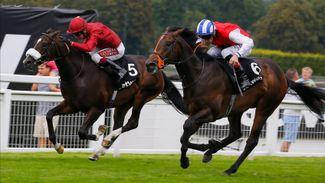 Kameko out to emulate Roaring Lion by capturing Royal Lodge for Qatar Racing