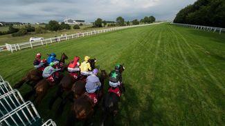 Punting pointers: how to find winners at the Derby meeting