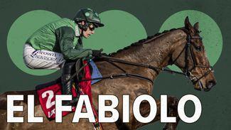 4.00 Cheltenham: 'Everything has gone well in the lead-up to the race' - confidence high in El Fabiolo's Champion Chase bid
