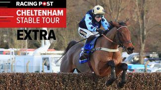 'He bounced back to win at Cheltenham last year and he's coming to hand again'