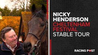 Watch: Nicky Henderson's unmissable 2023 Cheltenham Festival stable tour