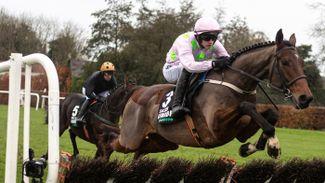 Hammer blow for Mullins after three stars are ruled out of Cheltenham Festival
