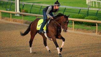 Favourite Omaha Beach scratched from Kentucky Derby with throat issue