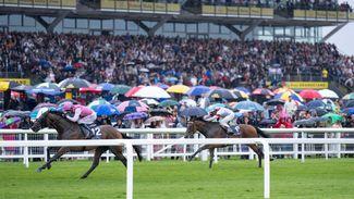 Confirmed runners and riders for the Sky Bet Ebor at York - plus Saturday's other big races