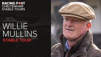 'He's going to run some race in the Champion Bumper' - Willie Mullins' horse-by-horse guide to his Cheltenham Festival team