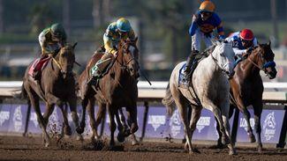 Classic: Rick Dutrow victorious with White Abarrio less than a year after his return from decade-long ban