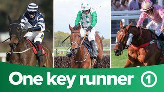 ITV Racing tips: one key runner from each of the four races on ITV4 on Friday