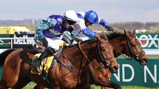 Matt Newman: Keep Thyme Hill on your side to clock up staying hurdle success