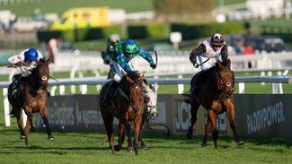 What's on this week: Paddy Power Gold Cup, Jonbon's return and the Greatwood Hurdle at Cheltenham's November meeting