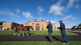 Ride through the historic Tattersalls sales ring on a Kingsley Park horse