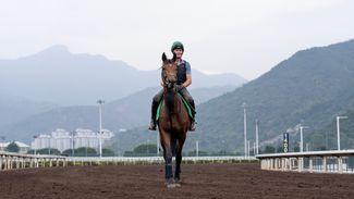 West Wind Blows to miss Vase at Sha Tin on veterinary advice - Lewis Porteous reports from Hong Kong
