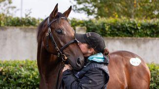 An act of remembrance - Michelle Motherway on the meaning of TDM Bloodstock