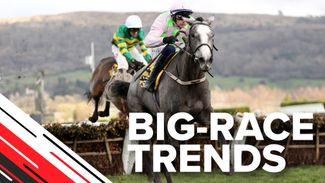 Big-race trends: the key statistics to help you find the winner of the Triumph Hurdle