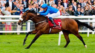Ribchester back to winning ways to set up QEII challenge