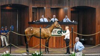 'She did everything she was asked to do' - $775,000 Caracaro filly tops opening trade of the OBS Spring Sale