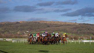 Cheltenham field sizes approach pre-Covid levels with Mighty Potter's owners joining festival big players