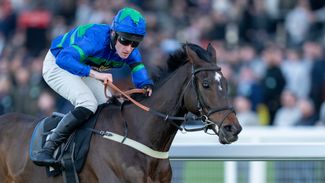 How a long-time friendship helped Chris Gordon source leading bumper hope Bass Hunter