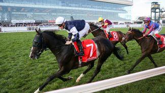 Yucatan given stall 23 in bid for Melbourne Cup glory