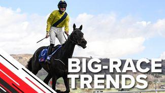 Big-race trends: the key statistics to help you find the winner of the Supreme Novices' Hurdle
