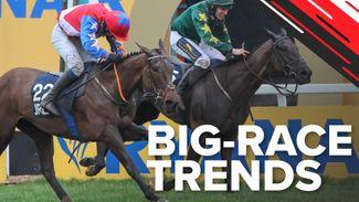 Big-race trends: key stats to help you find the winners of the Cheltenham Festival handicaps