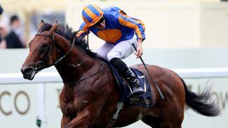 Big weekend for Ballydoyle as Aidan O'Brien prepares to unleash star juveniles at Newmarket 24 hours before Arc