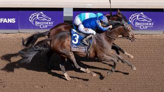 Dirt Mile: Cody's Wish keeps hold of race after stewards' inquiry to secure emotional win