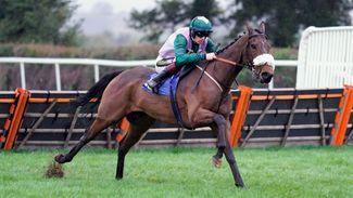 British contender Scardura holds the key to valuable novice hurdle