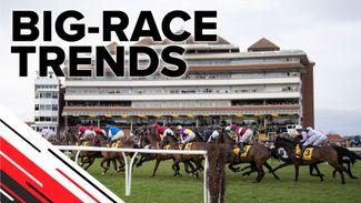 Big-race trends: key stats to help you find the Betfair Hurdle winner