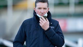 Anthony Honeyball preparing Punchestown festival team as he targets a winner for fourth year in a row