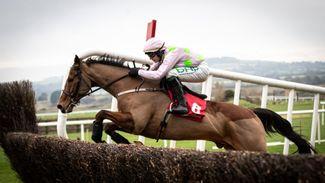 Young at heart Faugheen 'has all his old confidence back' for Leopardstown date