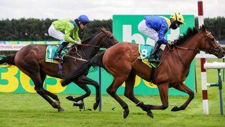 Our expert tipster analyses a competitive running of the Melrose Handicap