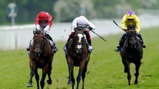 Middleton Stakes: 'The stewards got it right this time' - Free Wind holds on for dramatic win