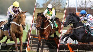 Five interesting contenders away from Cheltenham on Saturday - including a mare labelled 'exciting' by Paul Townend