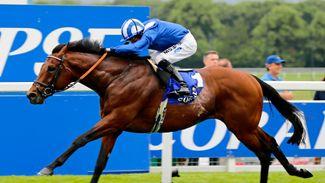 Nuggets of wisdom to help find winners at Newmarket on Craven day