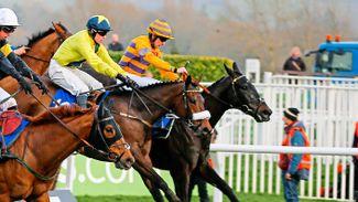 Turning onto Highway One O One can be fast track to Cheltenham Festival profits