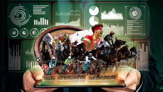 How black market bookies have spread through racing - and even solicit business at Cheltenham