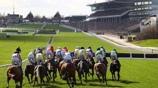 The whip - how racing is faring as we close in on the Cheltenham Festival