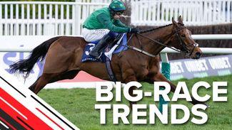 Big-race trends: key stats to help you find the Arkle winner