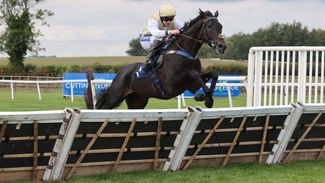 Four horses you may have missed at the Welsh Racing Festival to put in your tracker for the new jumps season