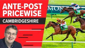 'His last run suggests he has a good few pounds in hand' - Tom Segal with two longshots to back in the Cambridgeshire