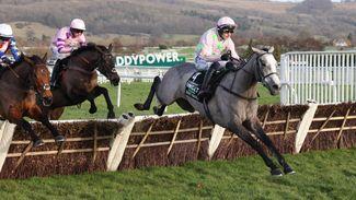 Play or lay? Chris Cook gives his verdict on six of the hottest Cheltenham Festival favourites