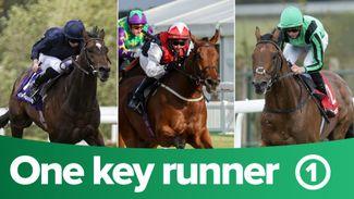 ITV Racing tips: one key runner from each of the five races on ITV on Saturday