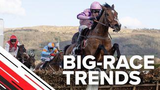 Big-race trends: key stats to help you find the winner of the Albert Bartlett Novices' Hurdle