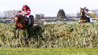 It's official: terrific Tiger Roll voted Racing Post Jumps Horse of the Year