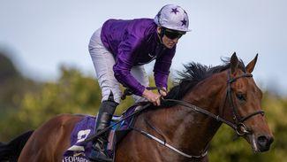All roads lead to Epsom for 'bouncing' Ballysax winner Dallas Star says trainer Adrian Murray