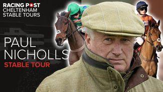 Watch: Paul Kealy meets Paul Nicholls for a horse-by-horse guide to his Cheltenham Festival team