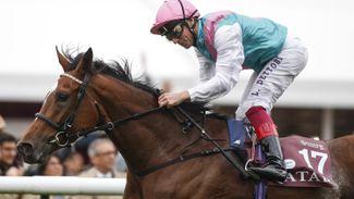 Enable has the right man on board as she bids to prove herself a true great