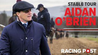 'He looks the one for the Coventry' - Aidan O'Brien runs through his Royal Ascot team